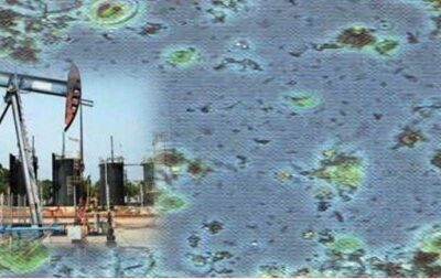 oilfield-bacteria oilfield bacteria