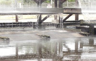 menurunkan-bod-cod mengatasi COD dan BOD tinggi