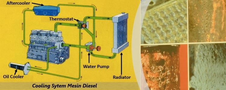 Radiator coolant untuk mesin diesel