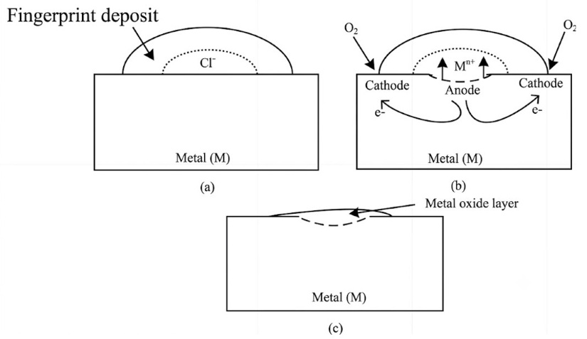 Fingerprint deposit solved by fingerprint coating